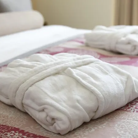 ホテル Tuyap ブユックチェクメジェ